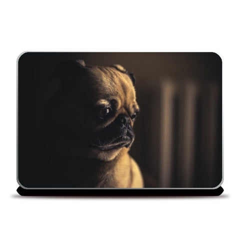 Laptop Skins, cute dog Laptop Skins