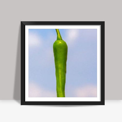 Chilli  Square Art