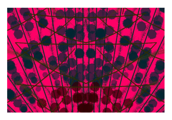 Wall Art, Caught In The Web Wall Art | Pratyasha Nithin, - PosterGully