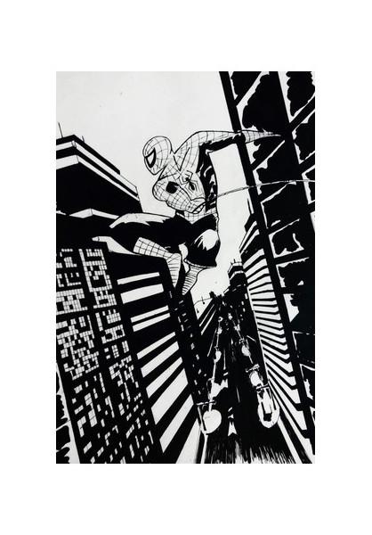 PosterGully Specials, Spiderman Wall Art