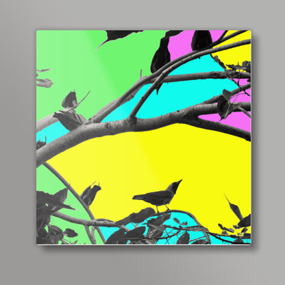 Birdies in Color Square Art Prints