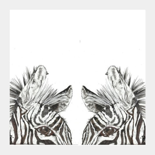 two zebras Square Art Prints