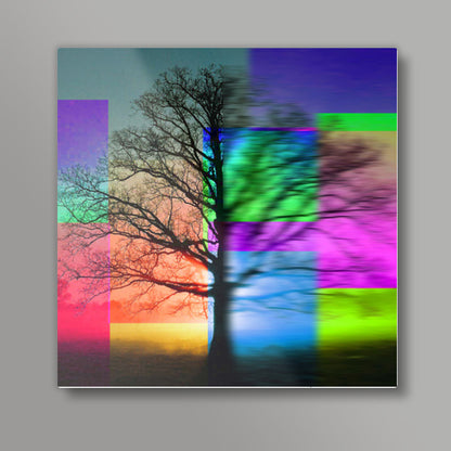 Gesture of Nature Square Art Prints