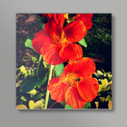 Beautiful Orange Flowers Square Art