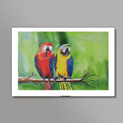 Brightly Colored Parrots‬ Wall Art