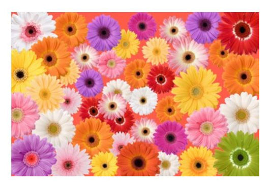PosterGully Specials, Flowers everywhere Wall Art