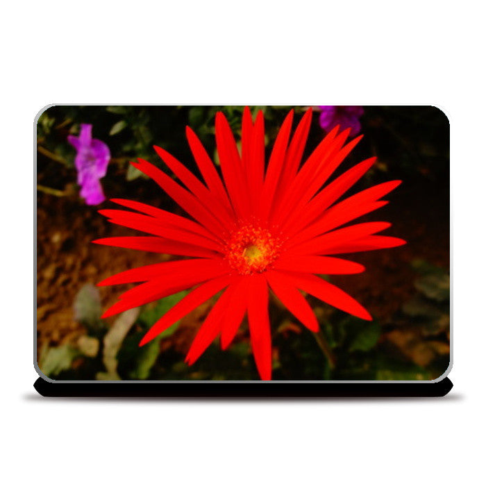 LOVE HOPE SMILE Laptop Skins