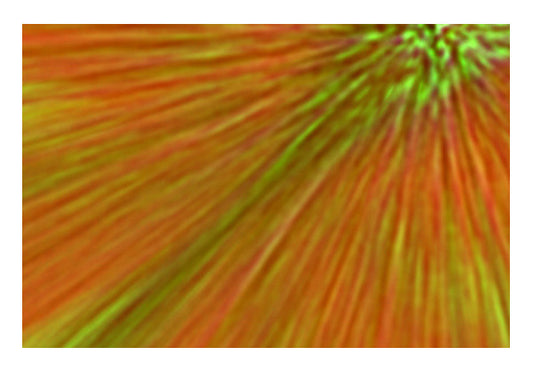 Wall Art, Grass in Fire Wall Art