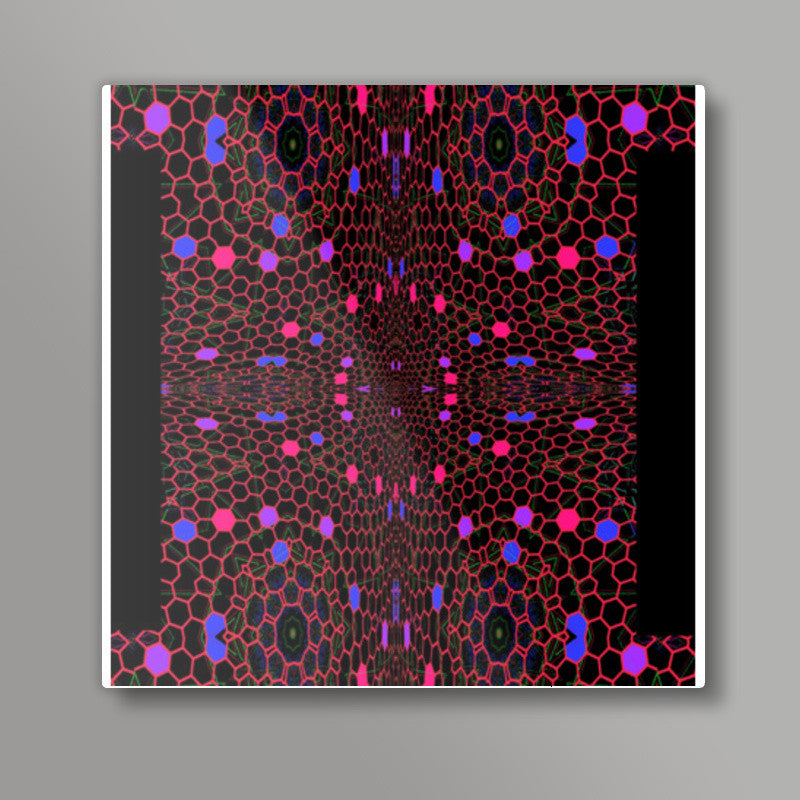 Honeycomb Square Art Prints