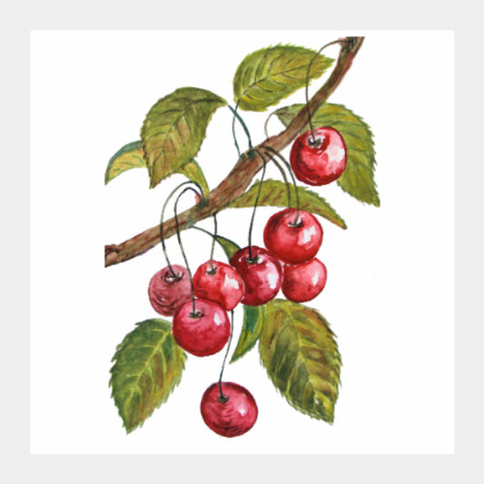 Square Art Prints, Cherries Square Art Prints