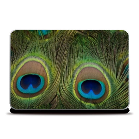 Laptop Skins, Peacock Feathers Laptop Skins