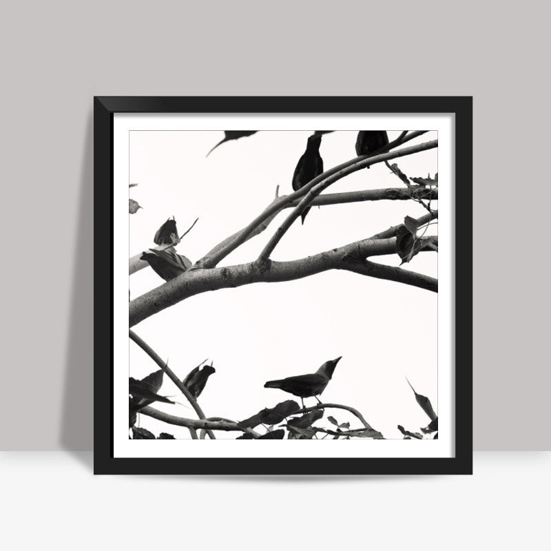 Little Birdies Square Art Prints