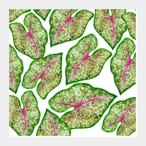 Caladium Leaf Tropical Pattern Watercolour Botanical Background  Square Art Prints