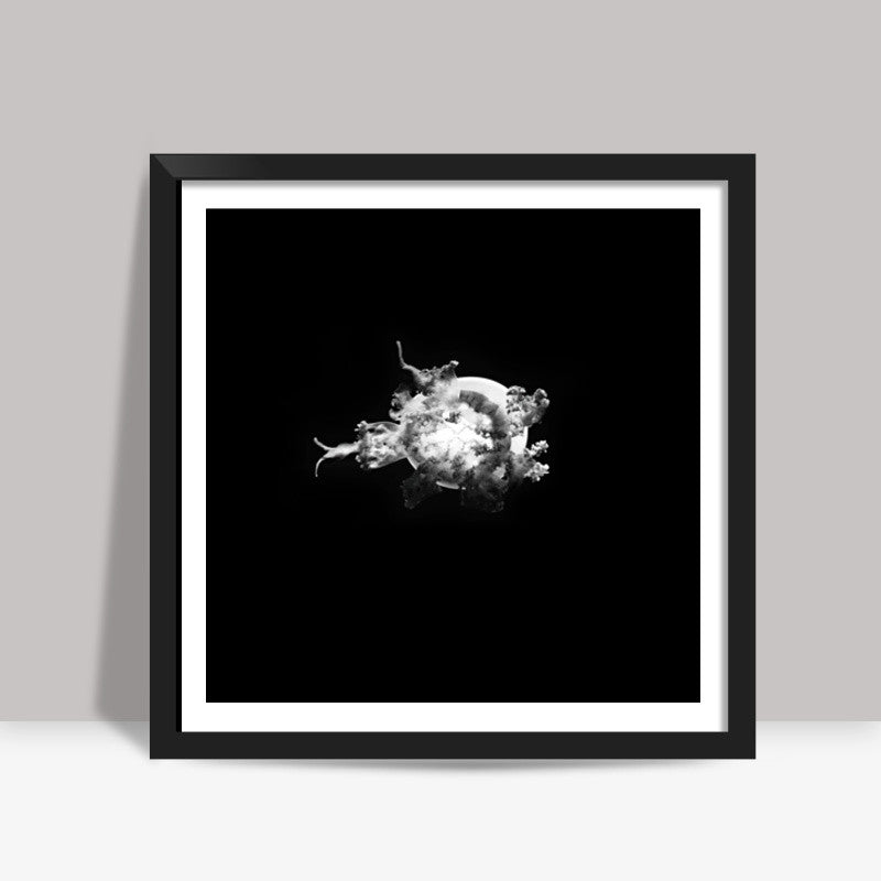 BW Jelly Fish Square Art Prints