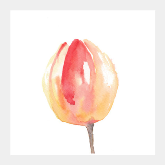 A Tulip Square Art Prints