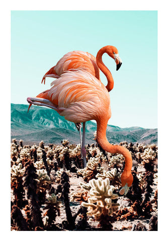 Flamingos In The Desert Art PosterGully Specials