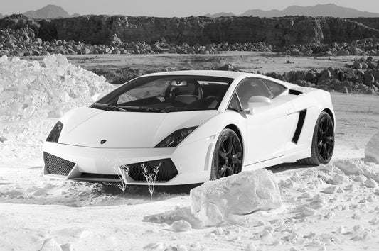 Wall Art, Lamborghini Gallardo | White, - PosterGully