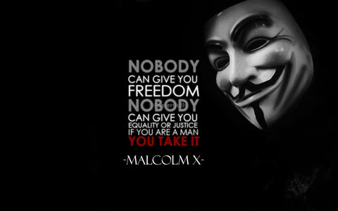 Wall Art, V for Vendetta | Malcolm X Quote, - PosterGully