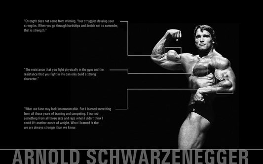 Wall Art, Arnold Quotes, - PosterGully