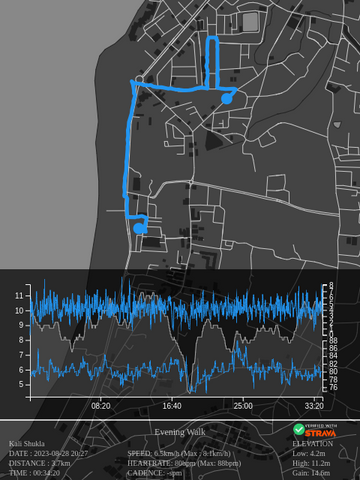 Evening Walk